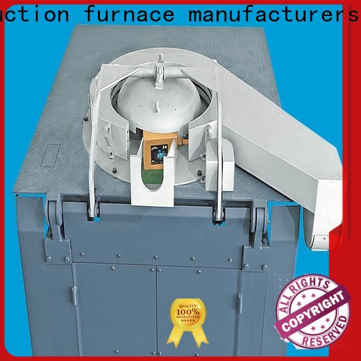 Hengyang Furnace induction electric furnace equipped with sealed spherical roller bearings applied in gas