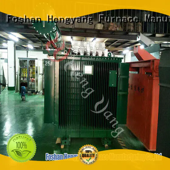 Hengyang Furnace electro dust removal system equipped with highly advanced reactor for industry